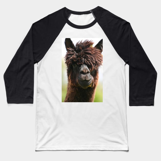 Alpaca Baseball T-Shirt by Furtographic